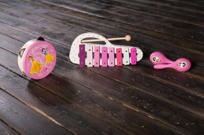 Набор перкуссии Disney Принцессы FLIGHT FDSN-PR в интернет магазине детских музыкальных инструментов Музыка Детям 
