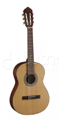 Классическая гитара 3/4 с чехлом, Parkwood PC75 в интернет магазине детских музыкальных инструментов Музыка Детям 